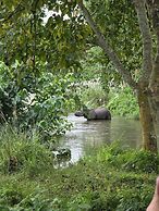 Siddhartha Wildlife Retreat
