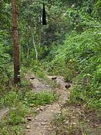 Siddhartha Wildlife Retreat