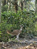 Siddhartha Wildlife Retreat