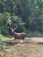 Siddhartha Wildlife Retreat