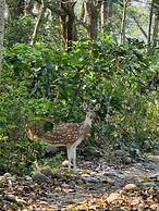 Siddhartha Wildlife Retreat