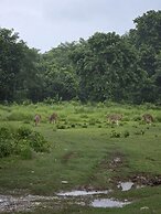 Siddhartha Wildlife Retreat