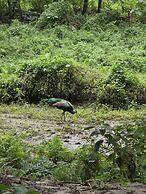 Siddhartha Wildlife Retreat