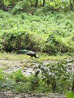 Siddhartha Wildlife Retreat