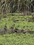 Siddhartha Wildlife Retreat