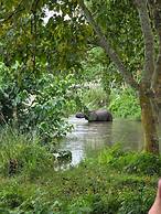 Siddhartha Wildlife Retreat