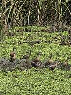 Siddhartha Wildlife Retreat