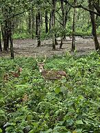 Siddhartha Wildlife Retreat