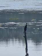 Siddhartha Wildlife Retreat