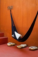 Casa Carmen Reforma