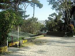 Pine Breeze Cottages