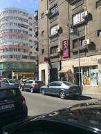 Casa Mendeleev