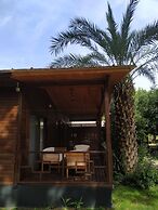 Olympos Yavuz Hotel