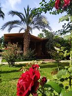 Olympos Yavuz Hotel