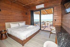 Spirit Holbox