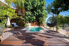 Spirit Holbox