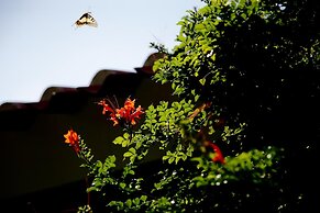 Sa Pedrera Country Hotel