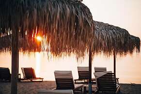 Apolonia Resort
