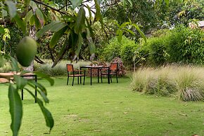 Woods at Sasan