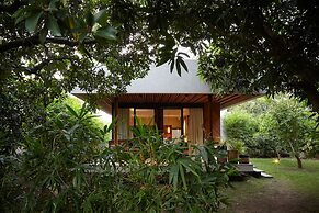 Woods at Sasan