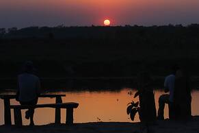 Jungle Sunset Camp