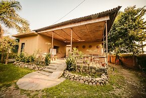 Into The Wild Eco Resort