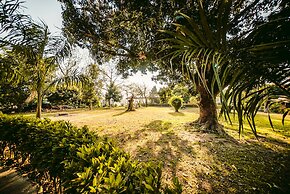 Into The Wild Eco Resort