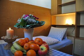 Appartements & Ferienwohnungen Pfausler