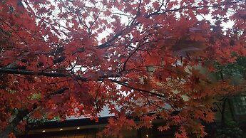 Kinosato Yamanoyu