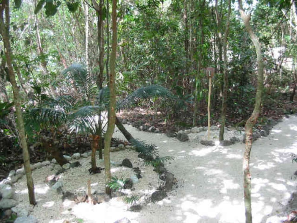 Tranquility Island Resort