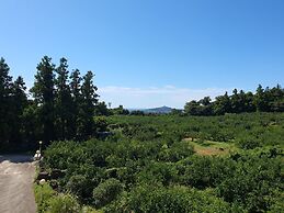 JejuMermuri