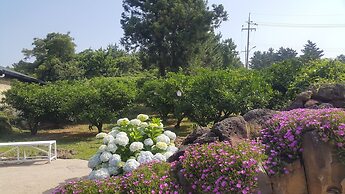 JejuMermuri