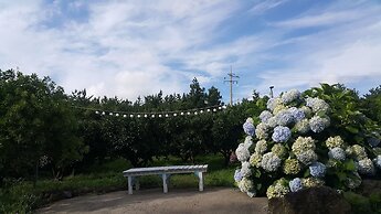 JejuMermuri
