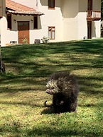 Cortijo La Casona