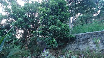Resort Beam
