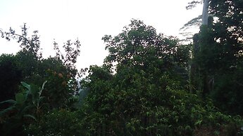 Resort Beam