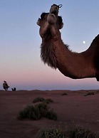 Riad De Rêve