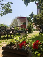 Akce Konak