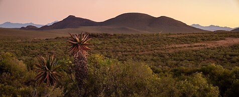 Wildehondekloof
