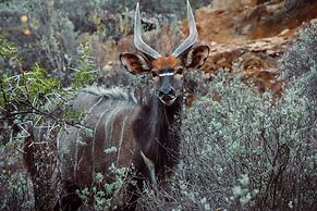 Wildehondekloof