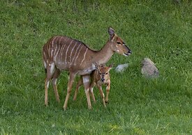 Wildehondekloof