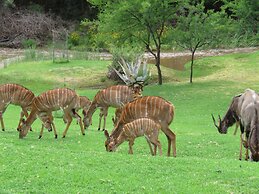 Wildehondekloof