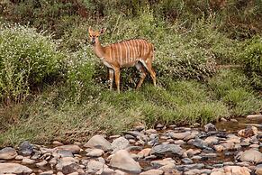 Wildehondekloof