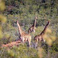 Wildehondekloof