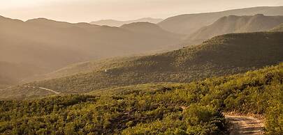 Wildehondekloof