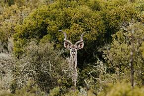 Wildehondekloof