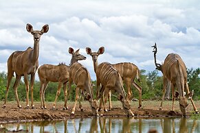 Wildehondekloof