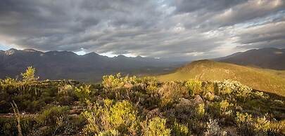 Wildehondekloof