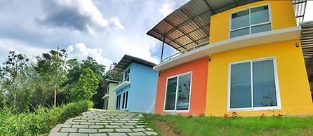 The Box House
