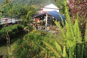 Siddhartha Garden